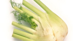 Recepta de cuina de Crema de fonoll amb puré de patata i rovell d’ou